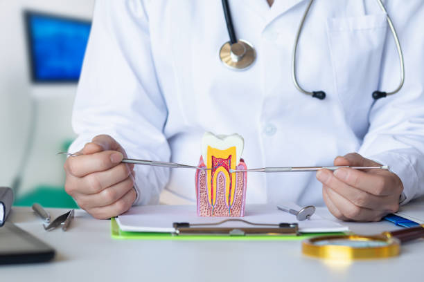 Best Emergency Tooth Extraction in Cleveland, MS